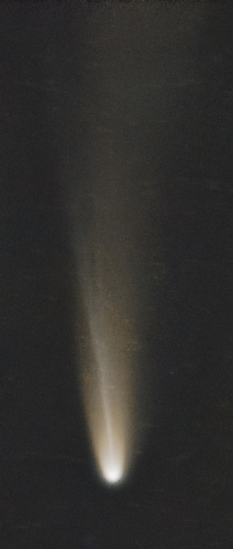 P24 作品照片
